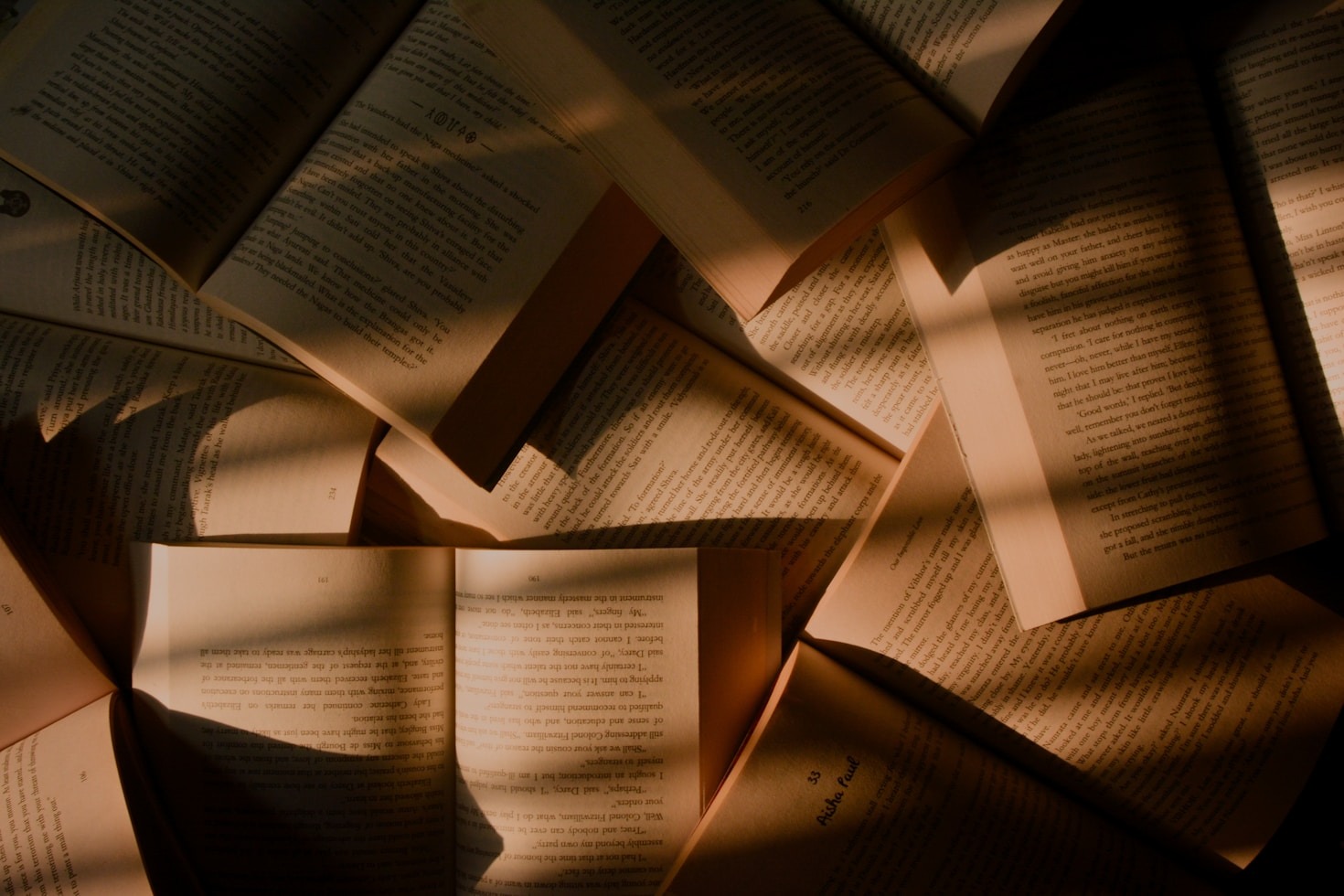 Vozes significativas: o que é ser um autor na Rasayana